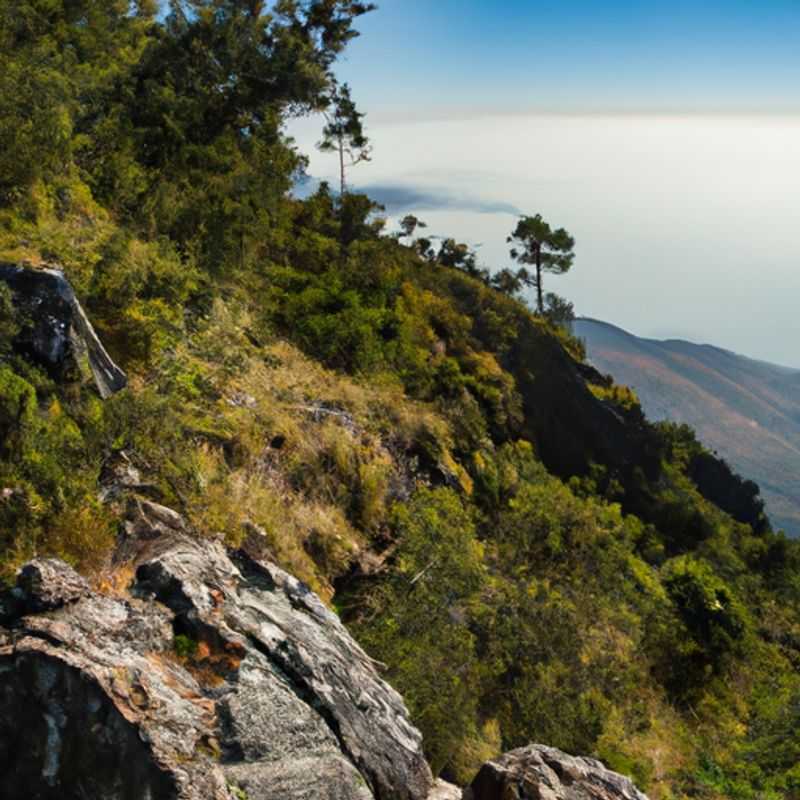 Exploration de la faune locale au mont Mulanje&#44; Malawi en hiver