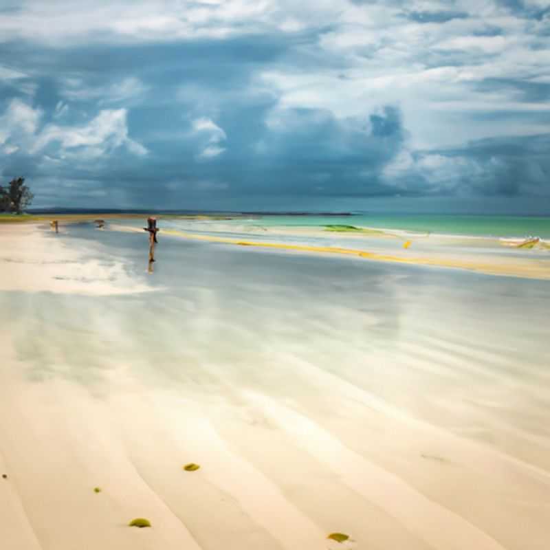 Visite du Parc de Kaya Kinondo à Diani Beach&#44; Kenya&#44; entre l'été et l'automne