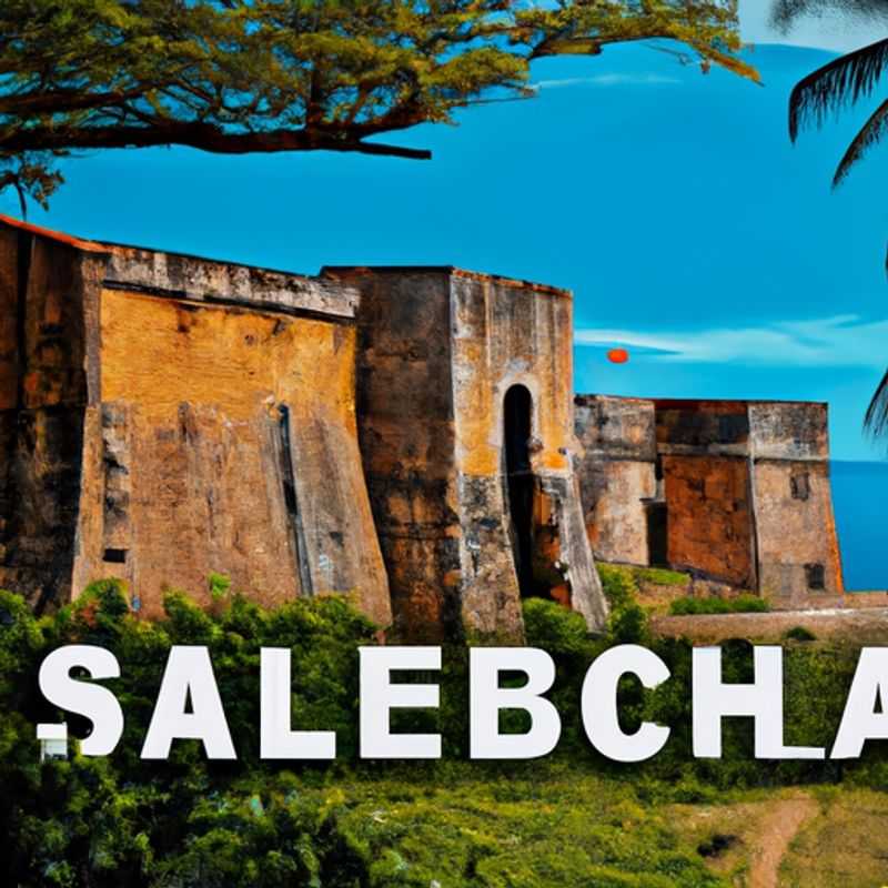 A solitary traveler stands in awe before the majestic São Sebastião Fortress in Mozambique, its ancient walls whispering tales of a bygone era. The fortress stands as a testament to the rich history of this captivating country, inviting the traveler on a journey of discovery and wonder.