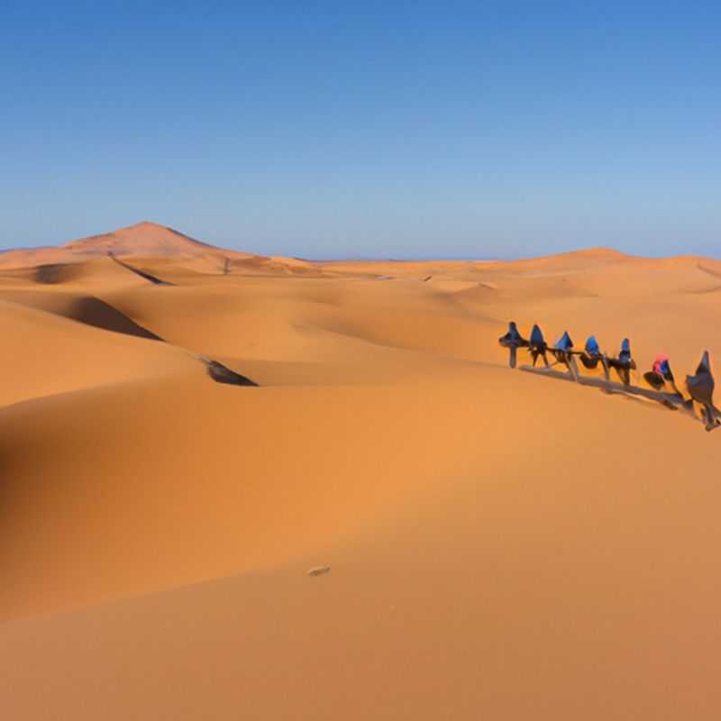 Merzouga Dunes for Families&#58; Top 5 Activities &#45; Camel Trekking&#44; Desert Camp&#44; Erg Chebbi&#44; Rissani Market&#44; Berber Culture